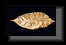 pf5001002.gif